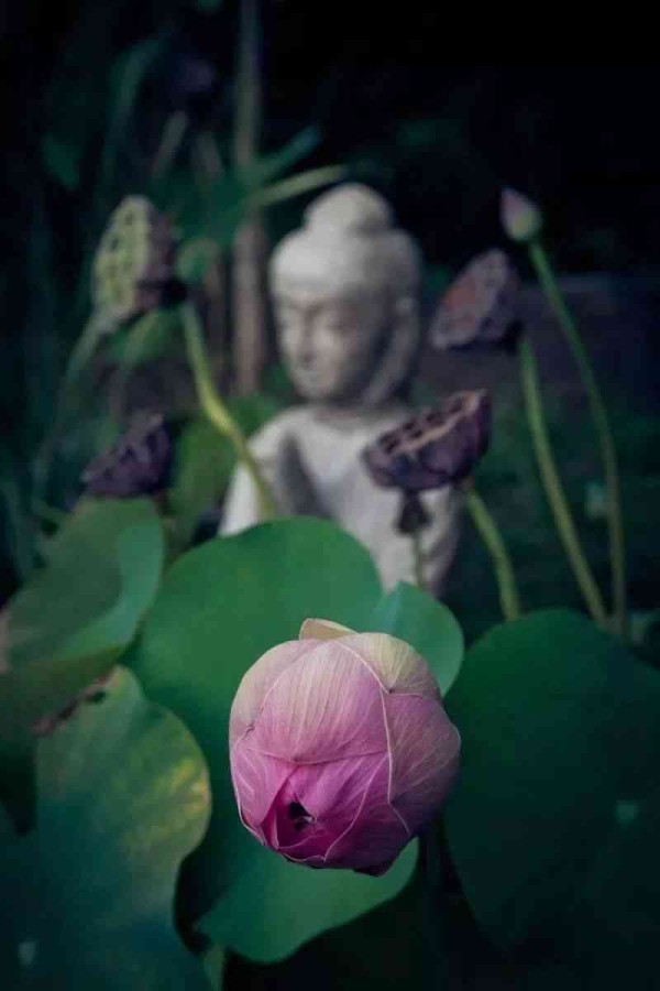 小和禅意生活：深度解读经典禅语及其现代意义