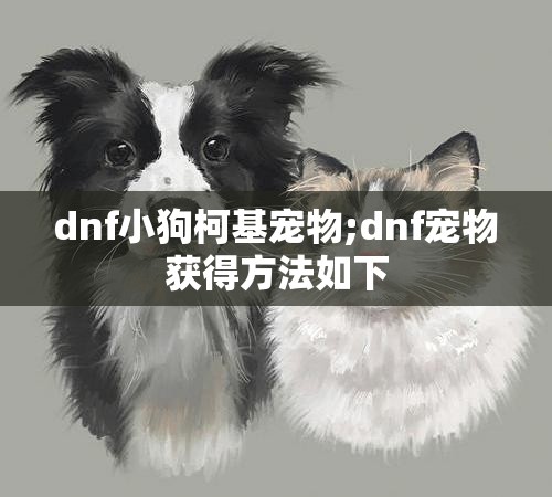 dnf小狗柯基宠物;dnf宠物获得方法如下
