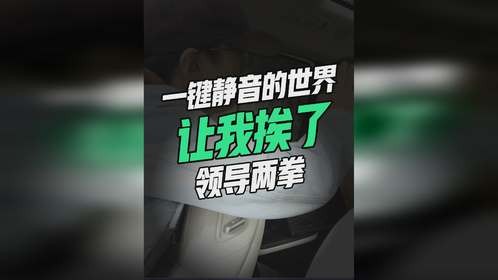 一键静音的世界让我挨了领导两拳