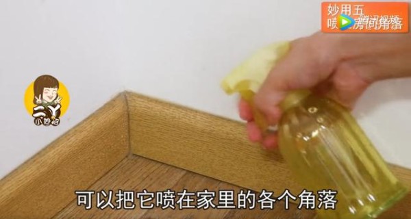 风油精+白醋=“神水”，解决了千家万户最大的困扰