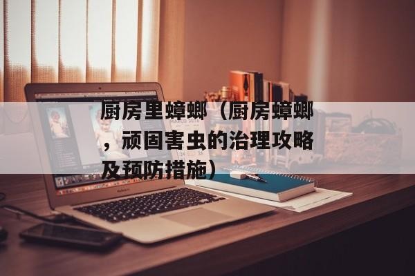 厨房里蟑螂（厨房蟑螂，顽固害虫的治理攻略及预防措施）