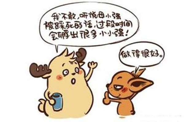 家里有蟑螂怎么办？灭蟑螂所有最有效的方法都在这里