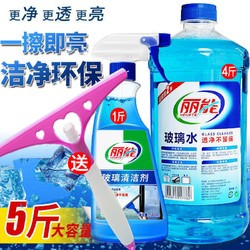 Nenrte 丽能 玻璃清洁剂喷水玻璃刮家用门窗浴室汽车玻璃水 玻璃清洁5斤(玻璃刮)