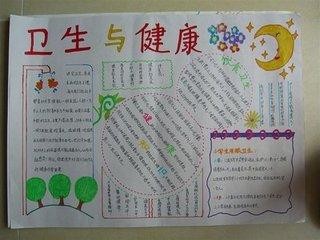 家庭清洁用品的手抄报 关于食品的手抄报-蒲城教育文学网