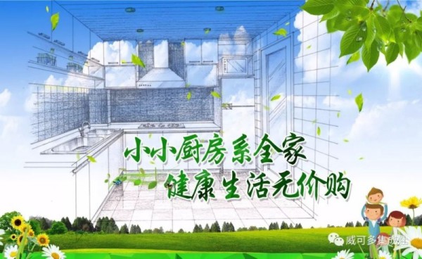 集成灶：打造您的健康生活_11