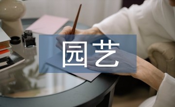 园艺施工要点与养护管理思路