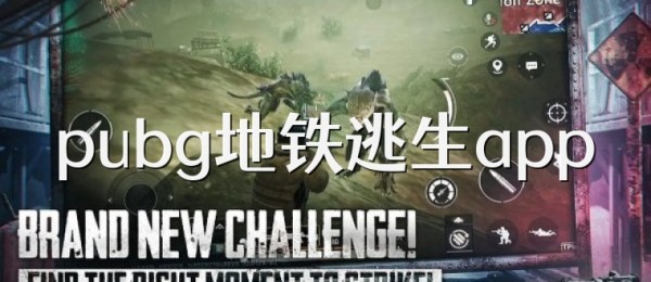 pubg地铁逃生app