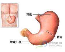 胃炎全靠养 药膳来帮忙