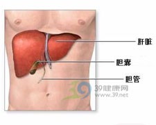 乙肝患者 饮食辅助治疗