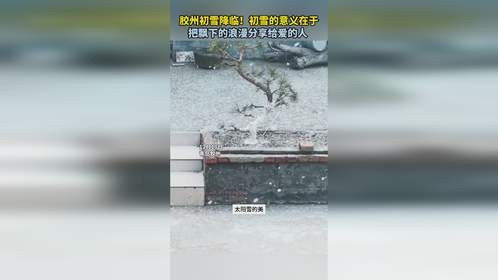 胶州初雪降临！初雪的意义在于，把飘下的浪漫分享给爱的人 。