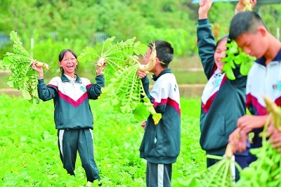 在都市里播撒田园梦