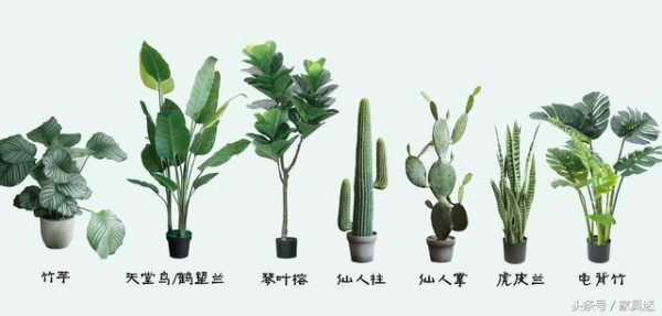 曲美新春家居布置秘笈出炉，为你烘焙家的年味！