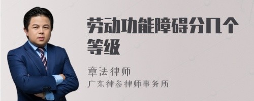 劳动功能障碍分几个等级