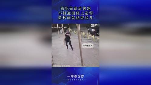 嫌犯偷窃后逃跑，不料迎面碰上巡警，数秒间就结束战斗