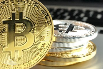 护理小常识，怎么解决卡斯罗犬的眼疾问题