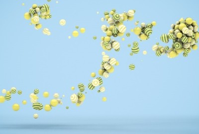 饲养小常识，新入家门的狼狗应吃些什么