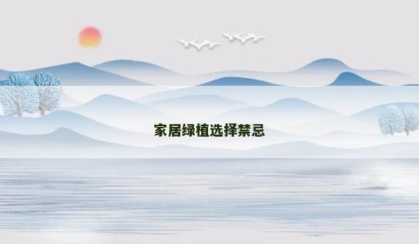 家居绿植选择禁忌