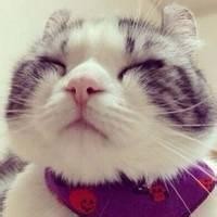 等你被遗忘