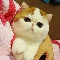至少还有你