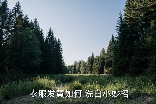  衣服发黄如何 洗白小妙招