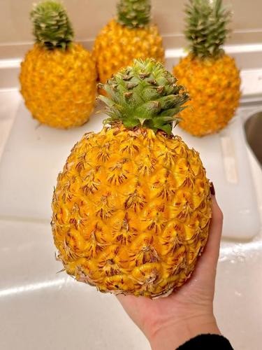芒果凤梨！建议马上申遗！！！