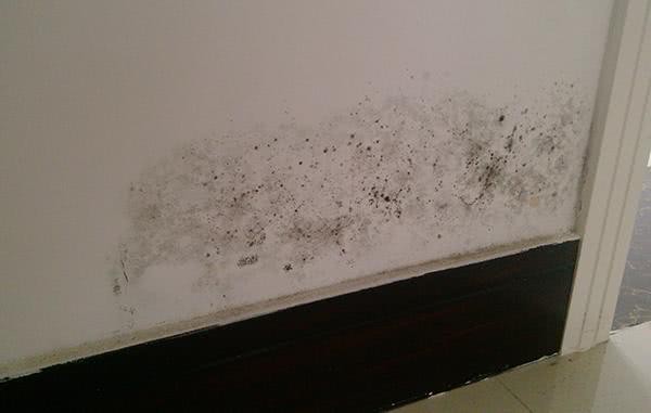 新房墙上留下难看印渍怎么办？教你几个小妙招去除难看污渍