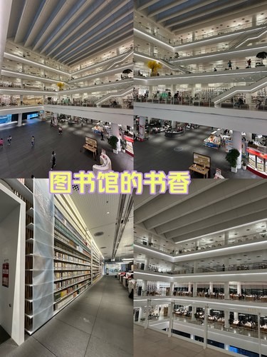 图书馆的书香