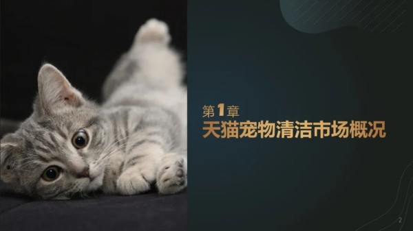 《宠物清洁市场趋势报告》:持续增长的宠物清洁赛道有什么门道?
