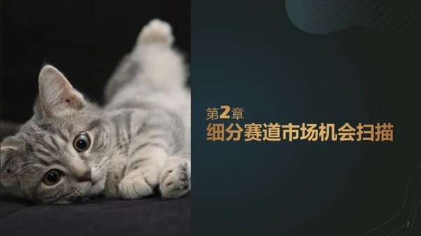 《宠物清洁市场趋势报告》:持续增长的宠物清洁赛道有什么门道?