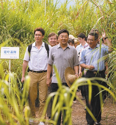 　　图为电视剧《幸福草》剧照。 　　片方供图