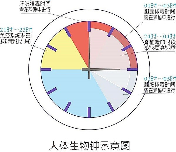 用重置生物钟与克服时差来改善睡眠