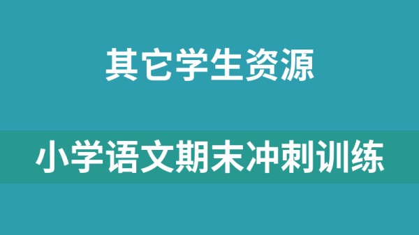 小学语文期末冲刺训练