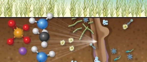 南京农业大学“国家优青”团队在一区top期刊发表合成微生物组强化生物修复的前瞻性论文