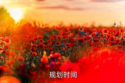  规划时间