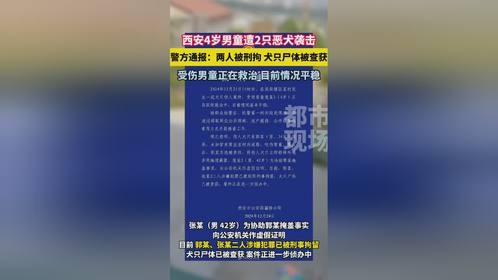 西安4岁男童遭恶犬咬伤致重伤昏迷，警方通报狗主人已被刑拘