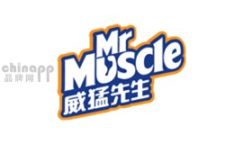 地板清洁剂十大品牌-威猛先生MrMuscle