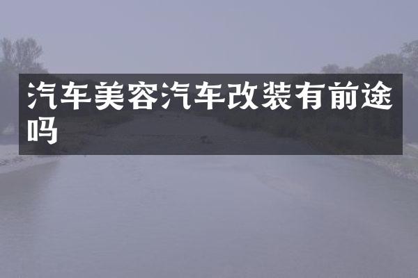 汽车美容汽车改装有前途吗