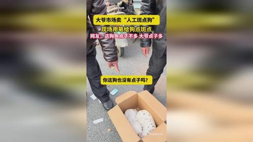 大爷市场卖人工斑点狗，网友：这狗狗点子不多