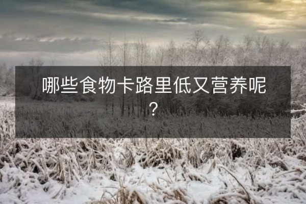 哪些食物卡路里低又营养呢？