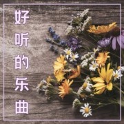 好听的乐曲：环境轻音乐，精神治疗的音乐，疗愈的音乐，器乐歌曲--KANJIAN疗愈-静心助眠-佚名