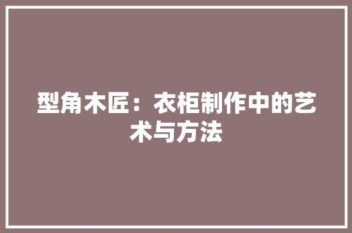 型角木匠：衣柜制作中的艺术与方法 现代风格装饰