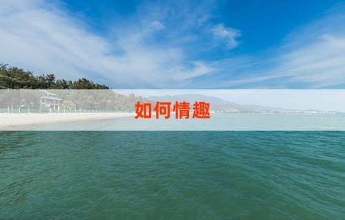 如何情趣