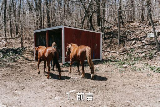 1. 前言