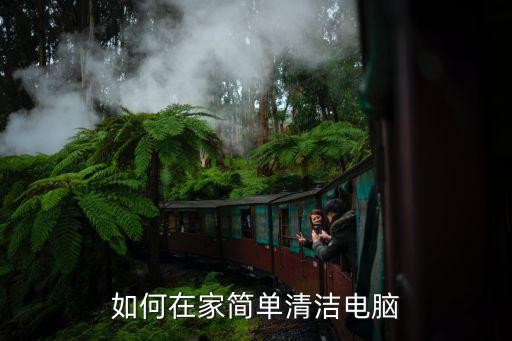 如何在家简单清洁电脑