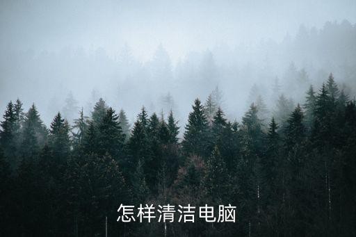 怎样清洁电脑