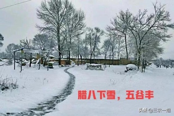 文章图片1