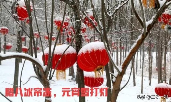 文章图片2
