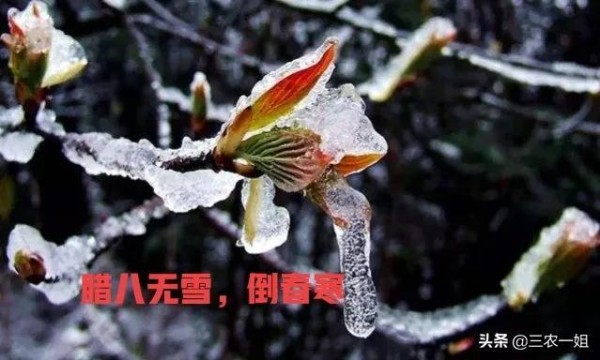文章图片3