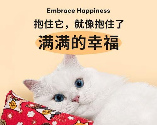 小猫咬伤后需服用何种药物（宠物养护知识大揭秘）