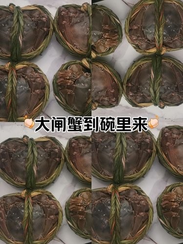 大闸蟹就要吃大个的